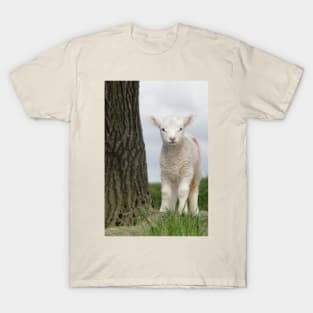 I'm Behind The Tree, But Not To You. T-Shirt